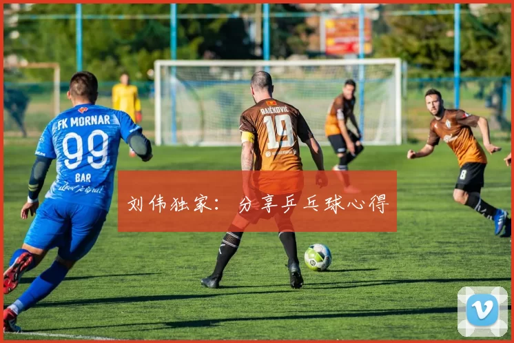刘伟独家：分享乒乓球心得