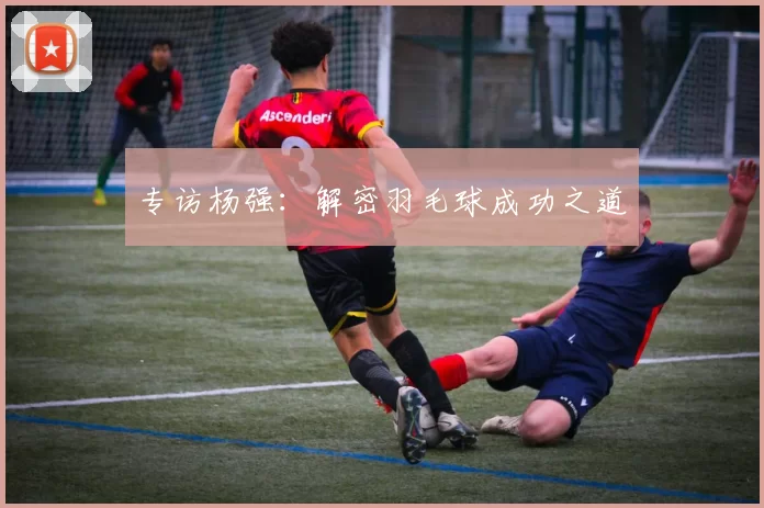 专访杨强：解密羽毛球成功之道