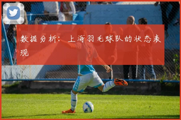 数据分析：上海羽毛球队的状态表现