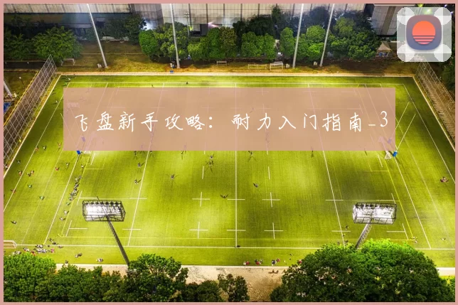 飞盘新手攻略：耐力入门指南_3