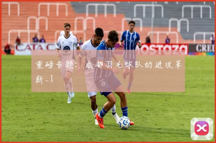 重磅专题：成都羽毛球队的进攻革新_1